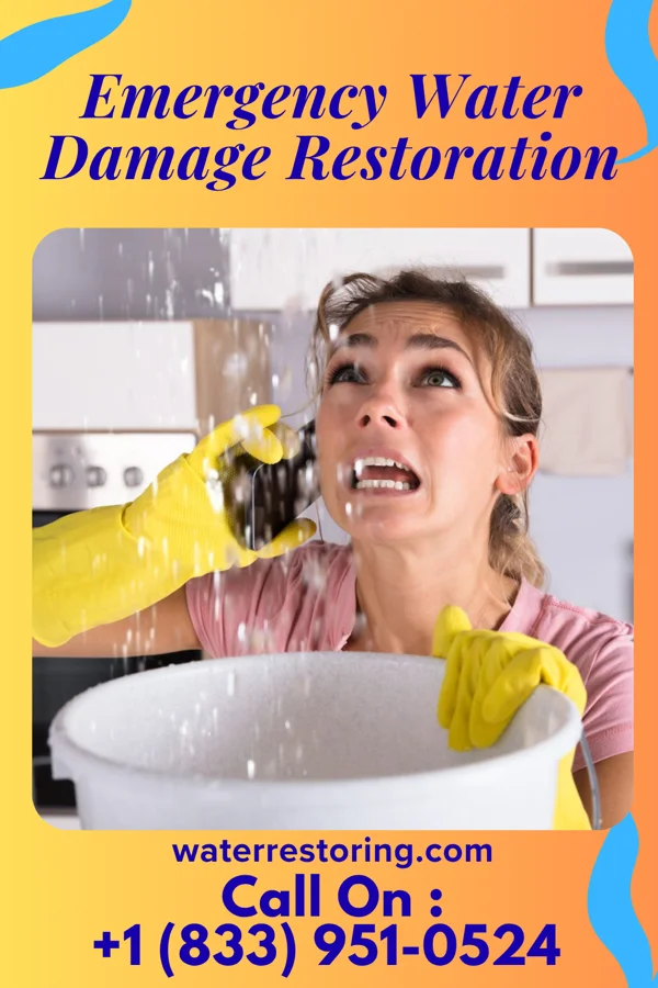 Emergency Water Damage Restoration in Kershaw, SC