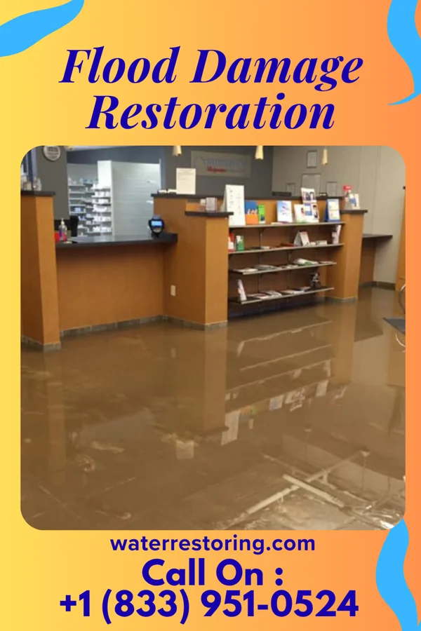 Flood Damage Restoration in Kershaw, SC