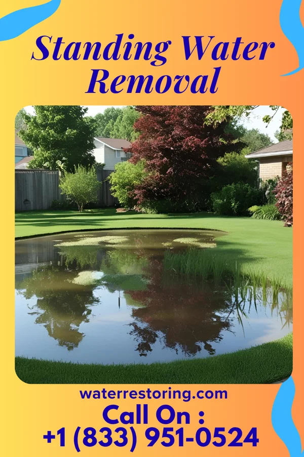 Standing Water Removal in Kershaw, SC